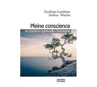 Pleine Conscience Et Tradition Spirituelle Chrétienne