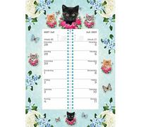 Plenty Gifts Calendrier 2027 - Calendrier hebdomadaire Cats Blue