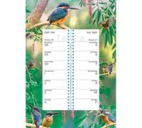 Plenty Gifts Calendrier 2027 - Calendrier hebdomadaire Kingfisher
