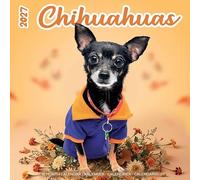 Plenty Gifts Calendrier 2027 - Calendrier mural Chihuahuas Studio - Calendrier mensuel - 16 mois - 30 x 30 cm