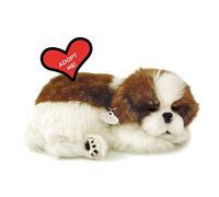 Plenty Gifts - Perfect Petzzz | Peluche Réaliste - Shih Tzu| Avec Boîte de Transport et Lit | Piles Incluses, Universel
