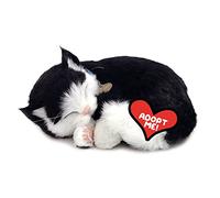 Plenty Gifts- Perfect Petzzz Soft Black & White Domestic Shorthair, 92554, Universel, Taille Unique