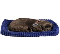 Perfect Petzzz Labrador Chocolat