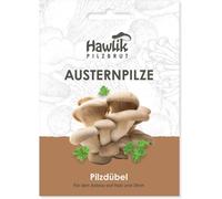 Pleurotes En Huître Comme Cheville Pour Cultiver Soi-Même-Jeu D'enfant De Récolter Des Champignons Frais-20 Cheville Avec Mycélium De Champignon Pour Cultiver Sur Bois Et Paille