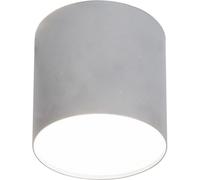 PLEXI M ARGENT/BLANC PLAFONNIER SPOT NT 1X POINT 6527