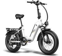 Pliable FAT E-Bike Hommes Vélo électrique VTT Trekking avec batterie 20AH 20 pouces Vélo pliant E-Vélo pliable E-Bike pliants