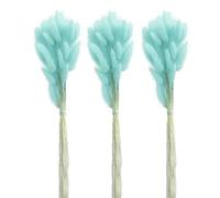 PLIAGE 1 Set Bouquet De Fleurs Séchées Mode Écologique Queue De Lapin Herbe Célébration De Pâques Queue De Lapin Produits Ménagers