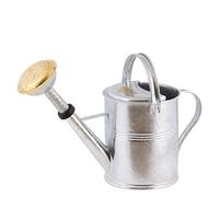 PLINT 5L Watering Can - Modern Style Watering Pot for Indoor and Outdoor House Plants - Coloured Galvanised Powder Coated Steel - Metal Design with Narrow Spout and High Handle - (Zinc)