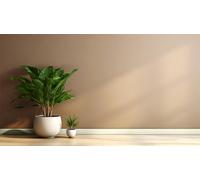 Plinthe Carrelage 10x60 cm Couleur Crème Mat (1 pièce)