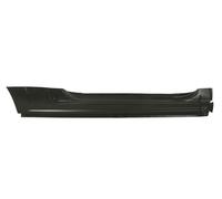 Plinthe De Seuil D'Entrée Droite Compatible Avec: CITROEN C2 03.09-09.11