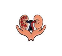 PLITI Broche en émail pour étudiant en médecine, médecin, infirmière, urologie, néphrologie néphrologie greffe rénale, cadeau néphrologue, M, Acier inoxydable