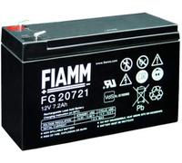 Plomb-gel Fiamm FG 20721 PB 12V/7200mAh