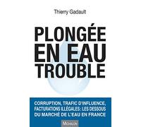 Plongée en eau trouble. Corruption, trafic d'influence, facturations illégales : les dessous du marc
