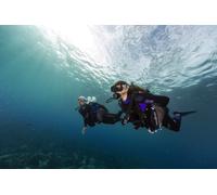 Plongée exploration - Niveau initié - La Réunion