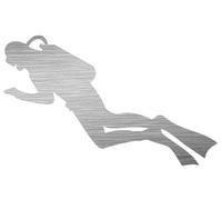 Plongée lot de 2 autocollants de rechange en aluminium brossé.