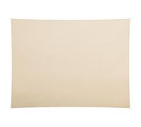 Plonos Voile Solaire Imperméable 180 g/m² Protection UV Rectangulaire 4 x 3 m Beige