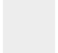 plottiX Film thermocollant, Polyester, Blanc, 32 x 50cm