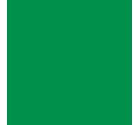 plottiX Graz Design Sticker mural en vinyle Vert clair 31,5 cm x 1 m 31,5cm x 1m