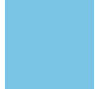 plottiX Perm. Film vinyle - 31,5 cm x 1 m - Bleu clair