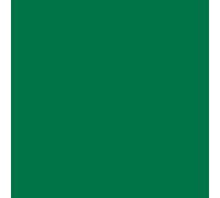 plottiX Perm. Film vinyle - 31,5 cm x 1 m - Vert
