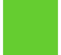 plottiX Perm. Film vinyle - 31,5 cm x 1 m - Vert clair