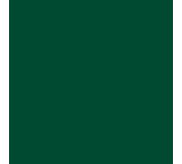 plottiX Perm. Film vinyle - 31,5 cm x 1 m - Vert foncé
