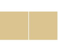 plottiX Perm Film vinyle Beige 31,5 cm x 1 m (Lot de 2)