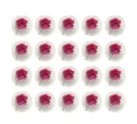 plplaaoo Lot de 20 Manchons pour lanternes de Camping 7 cm, Double tête, Double Trou, pour Lampes à gaz, Lampes à pétrole, Sports de Plein air, Voyages, Pique-niques, Rayonne 42 g