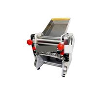 PLSZLL Machine à pâtes électrique Domestique, Presse à pétrir la pâte, Petite, en Acier Inoxydable, Usage Commercial, Facile à Nettoyer (Acier Inoxydable 8 mm)