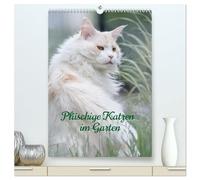 Plüschige Katzen im Garten (hochwertiger Premium Wandkalender 2026 DIN A2 hoch), Kunstdruck in Hochglanz: Katzen die den Ausflug in die Natur genießen.