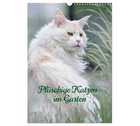 Plüschige Katzen im Garten (Wandkalender 2026 DIN A3 hoch), CALVENDO Monatskalender: Katzen die den Ausflug in die Natur genießen.