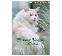 Plüschige Katzen im Garten (Wandkalender 2026 DIN A4 hoch), CALVENDO Monatskalender: Katzen die den Ausflug in die Natur genießen.