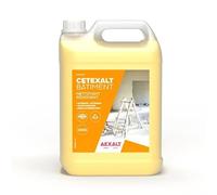 Aexalt Nettoyant rénovant sols & murs Cetexalt bâtiment GT746 5 L intérieur & extérieur