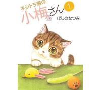 Plum Crazy! Tales Of A Tiger-Striped Cat Vol. 1