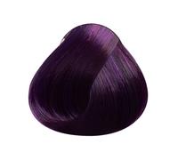 Plum Itinéraire