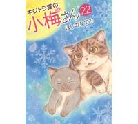 Plum, un amour de chat T22