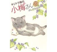Plum, un amour de chat T23 - Lily Hoshino - Soleil - broché - Manga