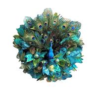 Plumdrop Guirlande de Porte en Plumes de Paon, décoration Suspendue de Printemps et d'été, Ornement Mural, Accessoires de Festival pour Cour de fête