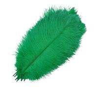 plume autruche 10 plumes d'autruche colorées. | Décoration artisanale en plumes, centres de Table, bijoux, décoration artisanale(Grass Green,45-50cm 18-20inch)