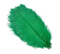 plume autruche Plumes d'autruche colorées 10 pièces for l'artisanat | Décoration de mariage, accessoires artisanaux, centres de Table, décor de carnaval(Grass green,45-50cm 18-20inch)