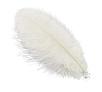 plume autruche Plumes d'autruche colorées 10 pièces for l'artisanat | Décoration de mariage, accessoires artisanaux, centres de Table, décor de carnaval(White,15-20cm 6-8inch)