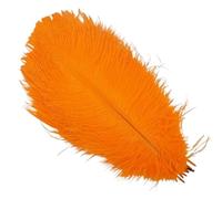 plume autruche Plumes d'autruche colorées 10 pièces for l'artisanat | Décoration de mariage, accessoires artisanaux, centres de Table, décor de carnaval(Orange,50-55cm 20-22inch)