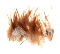 Plume Coq Plumes Teinture Plumes Bricolage Artisanat Bijoux Accessoires pour La Maison De Mariage Décoration Environ 50 Pcs Rentable et DurableUn Design Simple et raffiné