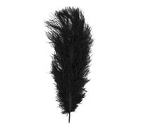 Plume D'autruche Noir 30 Cm 1 Pièce
