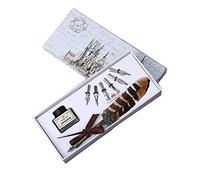 Plume De Stylo d'encre Ensemble antique Plume calligraphie Stylo à encre avec 6 pièces en acier inoxydable Pointes dans boîte Quill Stylo à plume pour les débutants