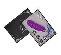 Plume d'écriture rétro vintage avec pointes en métal, plume de calligraphie à écriture fluide pour la tenue de journaux et la rédaction de lettres, incluant 5 pointes remplaçables (Violette)