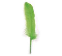 Plume D'oie Longue Vert Tilleul 16/20 Cm 8 Pièces