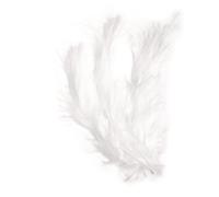 Plume Duvetée Blanc 10-15 Cm 15 Pièces