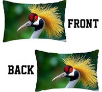 Plume Housse De Coussin Velours, Lot de 2 en Canapé Taie d'oreiller Doux Décoratives Extérieur Coussincarré, Oreiller Rectangulaire Neutre, pour Salon Jardin Fauteuil Lit Grue 50 x 80 cm I0P-334
