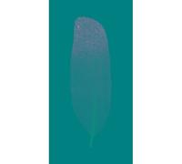 6 plumes argentées à paillettes Argenté G